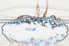 " &eacute;trange nuage "