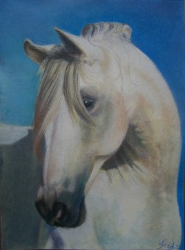 Le cheval blanc