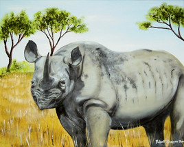 Le rhinocéros noir