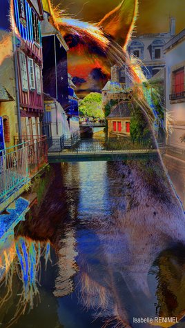 Quimper vu d'un autre oeil