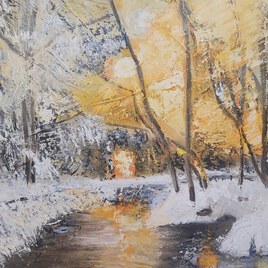 Coucher de soleil dans la for&ecirc;t