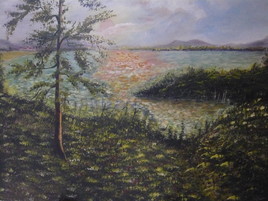 un petit coin de peche