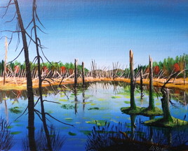 Arbres morts des terres humides