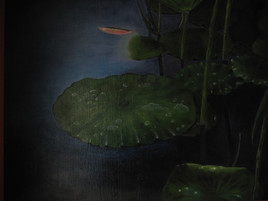 végétation aquatique