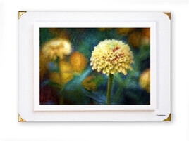 Le printemps est revenu