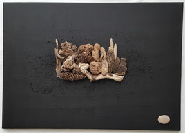 Ste Restitude n&deg;4