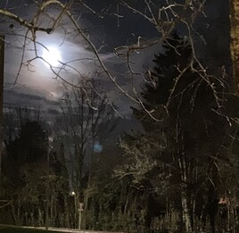 Nuit de pleine lune