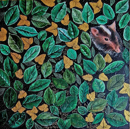 Dans l'oeil du sous-bois