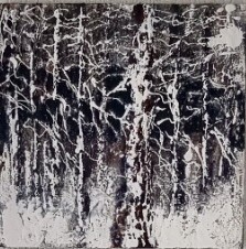 Neige en for&ecirc;t