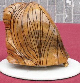 Apologie de la courbe