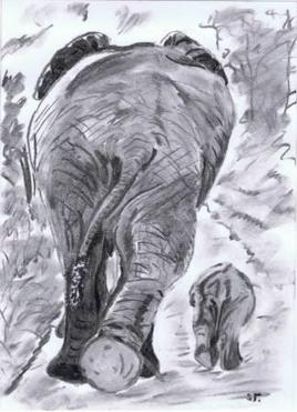 ELEPHANT 2