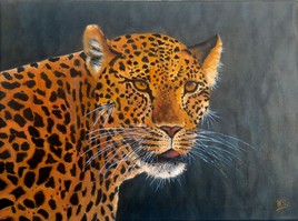 le Leopard