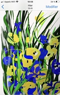 Jardin aux couleurs de l'UKRAINE