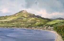 La Montagne Pelée en Martinique.