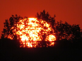 Apparition Lumineuse