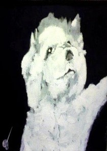 chiot de berger de  Maremme