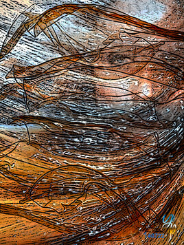 libert&eacute; 14072022 ?