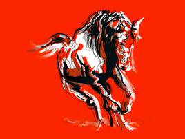 Le cheval c'est g&eacute;nial