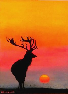 Cerfs au coucher du soleil