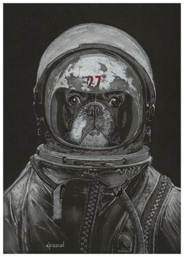 Space Frenchie