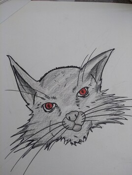 Regard per&ccedil;ant