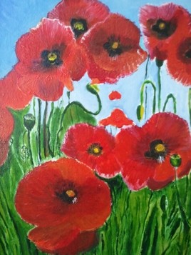 Les coquelicots