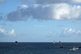 Horizon sans voile avec des voiles