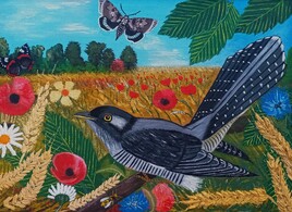 Un coucou dans un champ de bl&eacute;.