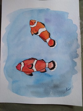 Poissons clowns