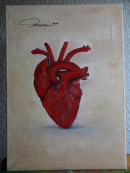 Anatomie cardiaque, face ant&eacute;rieure