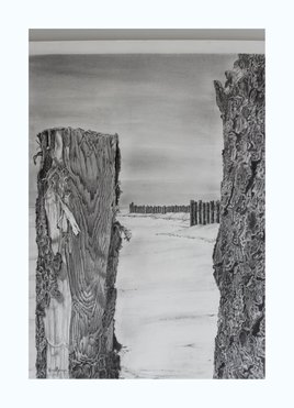 &Eacute;pis de retenue au Cap Ferret