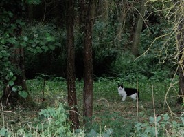 Accorder sa confiance