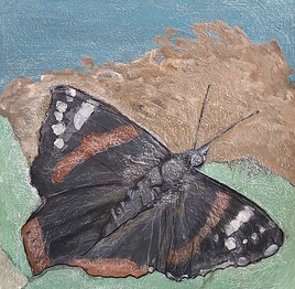 Papillon, papillon vulcain, messager