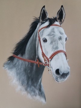 Colombia de la fi&egrave;re