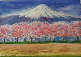 Cerisiers japonnais