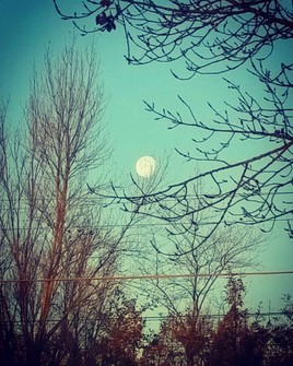 Moon