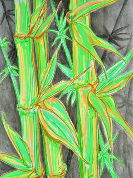 bambouseraie de Petite France