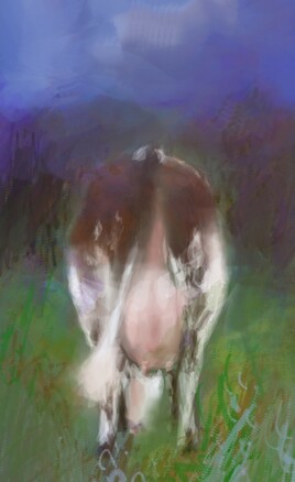 La vache...