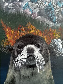 Curiosité animale. Curiosité animale.