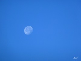 Bleu de lune