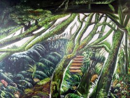 Forêt de la Réunion