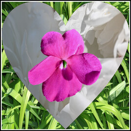 Sans titre 22) 2025 - 16 juin 2025