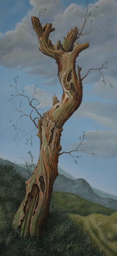 old tree( after Van Ruysdael)