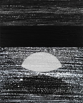 Possible fields 15038