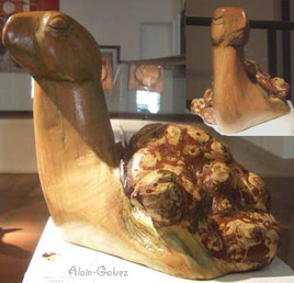 sculpture tortue (MORLA)