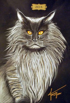 Collections de 12 &oelig;uvres  Chats Dieux   ZEUS