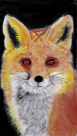 pastel du 9 novembre 2025