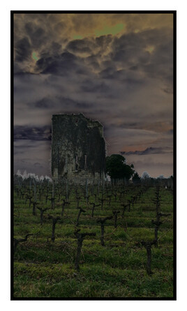 Ruine au milieu des vignes
