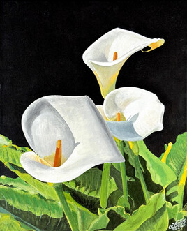 arums