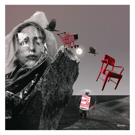 Voyeur of Destruction